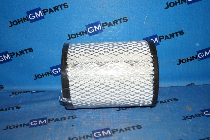 картинка Фильтр воздушный 19239713 Chevrolet Trailblazer от магазина JohnGMparts